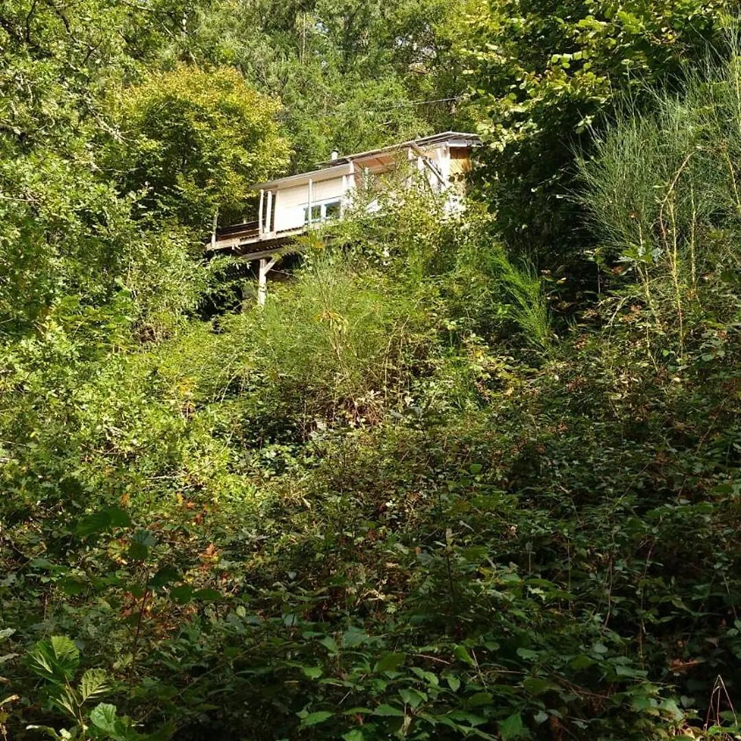 营地 Tiny House - La Foret Du Dragon Murols 法国